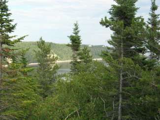 tadoussac 048.jpg